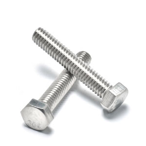 AISI 310S Fasteners